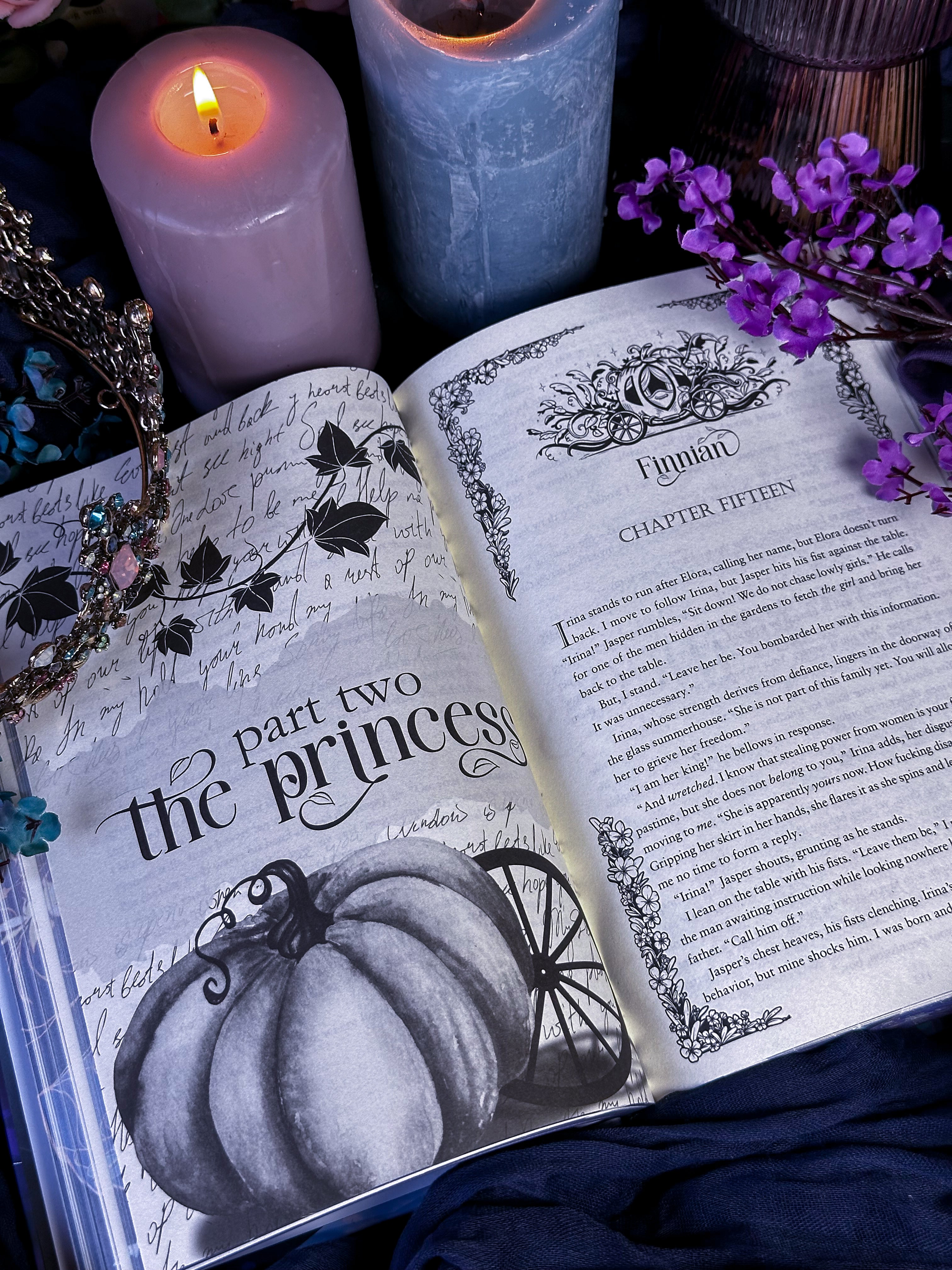 Rise Of The Cinder Fae