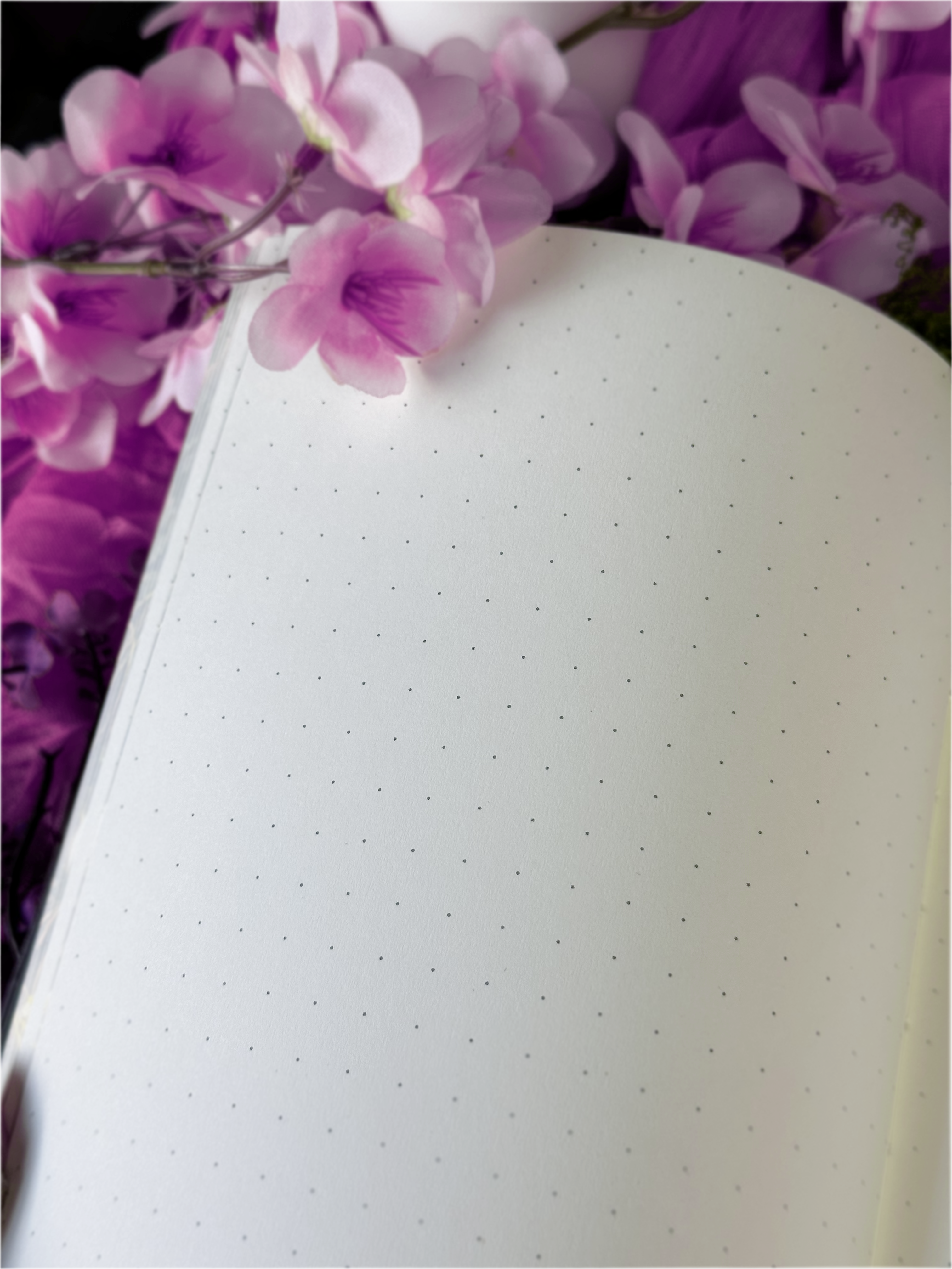 Floral Alchemy Notebook