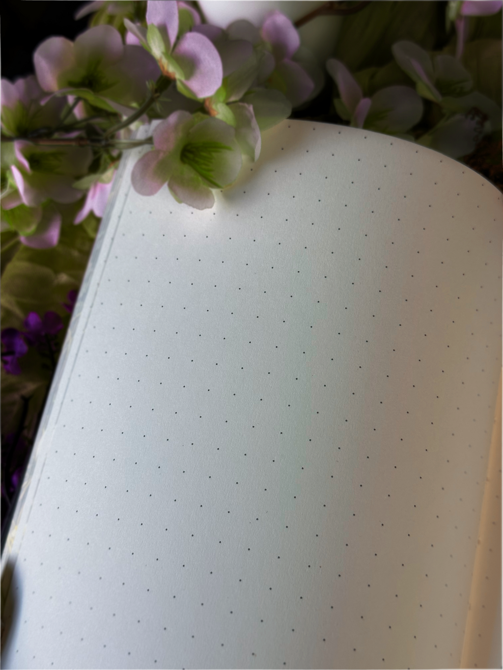 Forest Alchemy Notebook