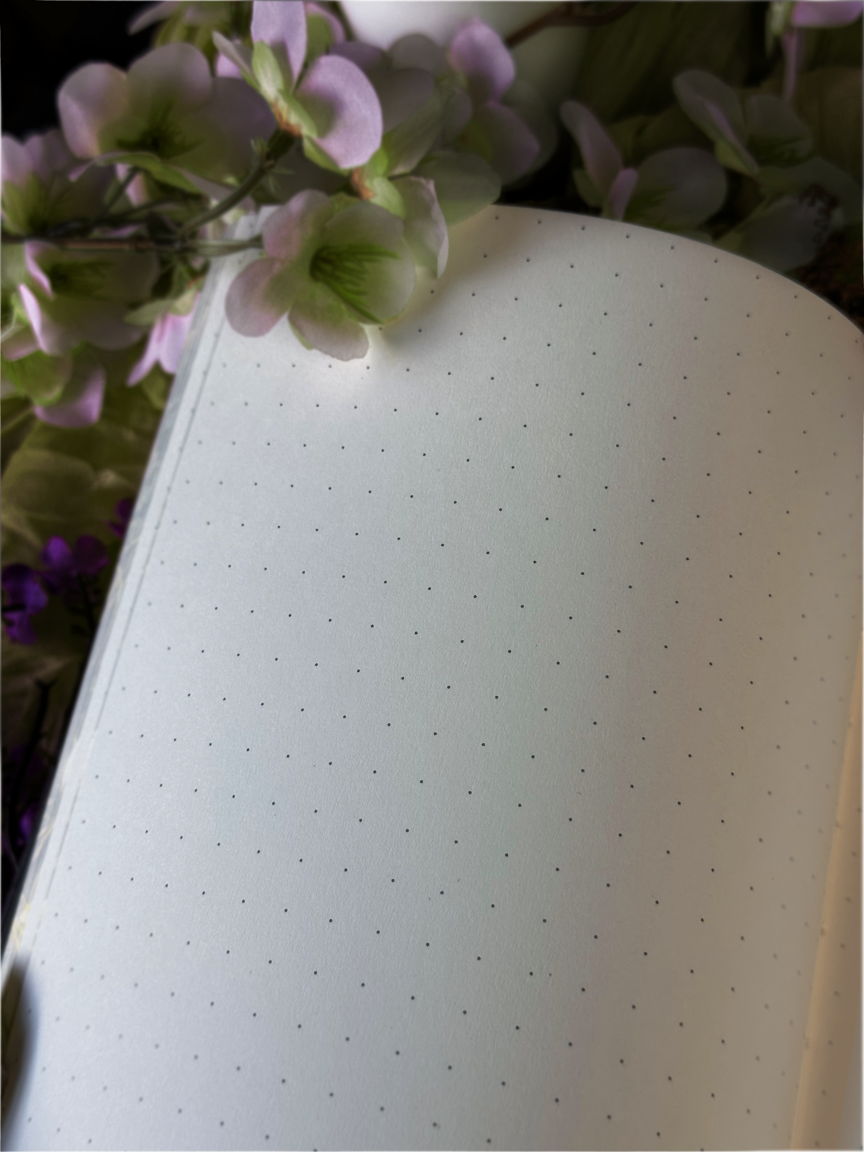 Forest Alchemy Notebook