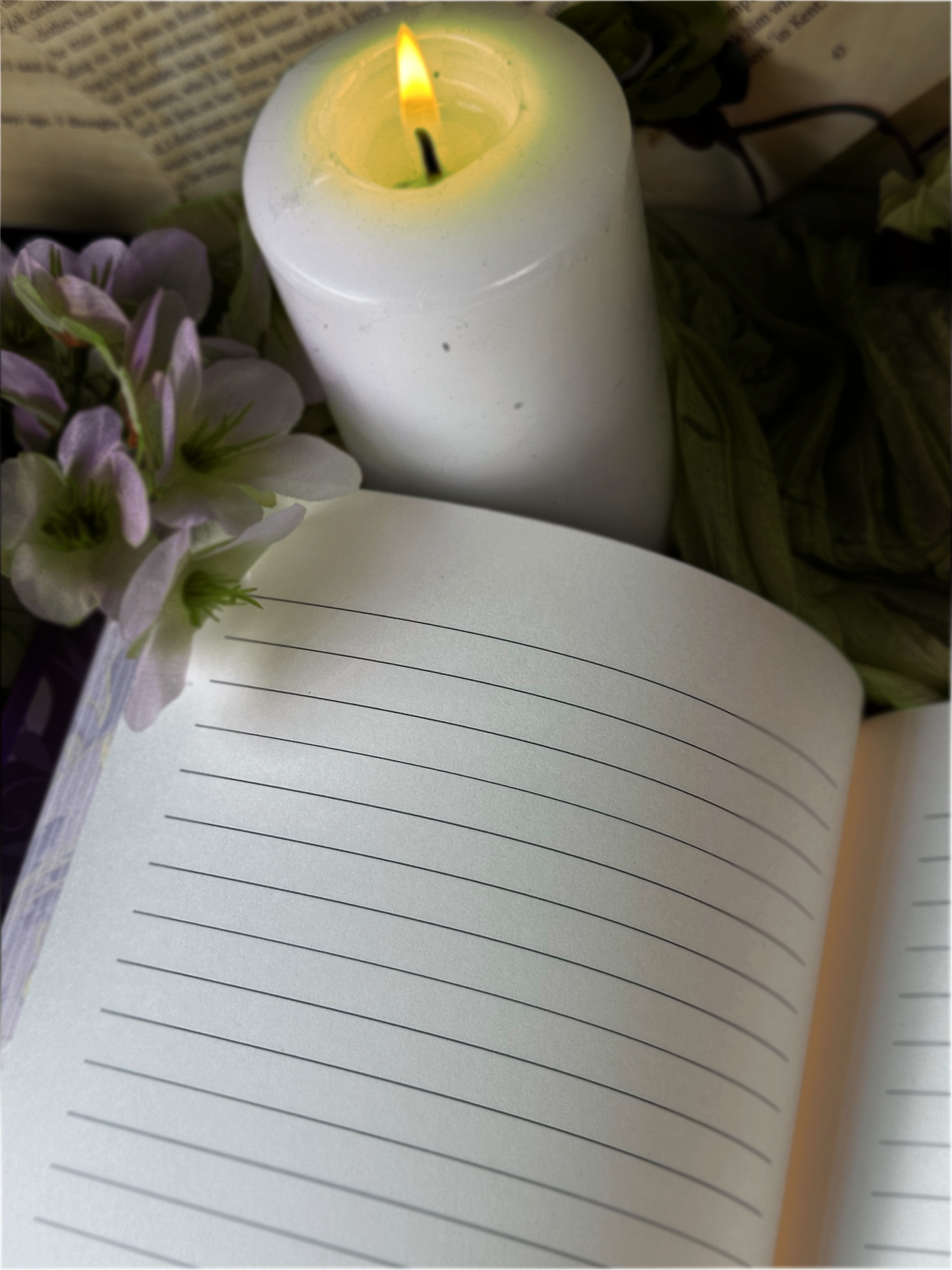 Forest Alchemy Notebook