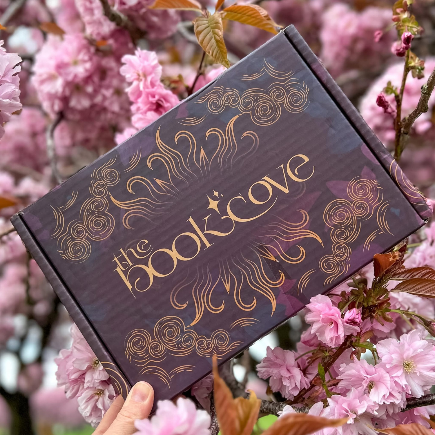 The Book Cove Bi-Monthly Subscription